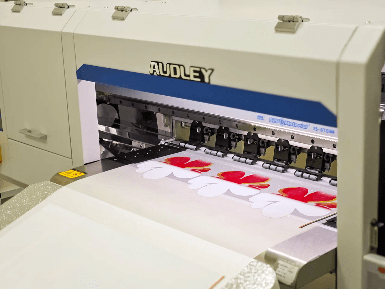 DTF-принтер Audley